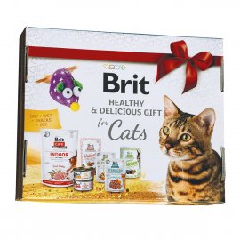 Brit Cat Gift 2021